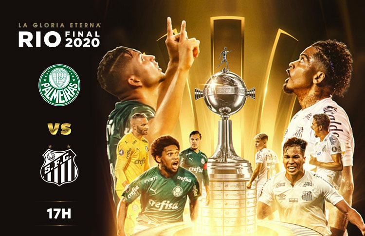 palmeiras vs santos hoy