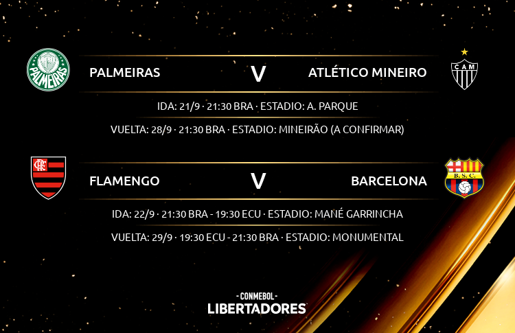 copa libertadores 21